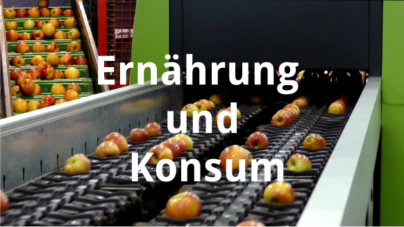 Ernährung und Konsum