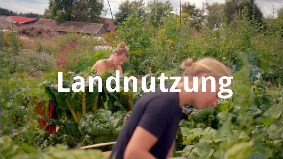 Landnutzung